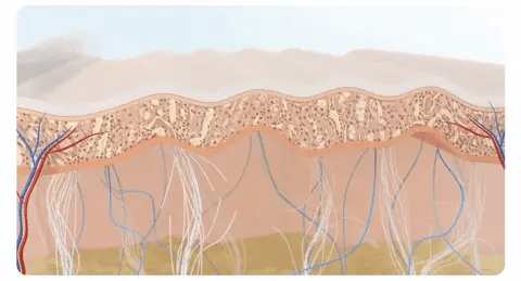 GlowVita™ – Serum Rejuvenecedor con Refuerzo Avanzado de Colágeno