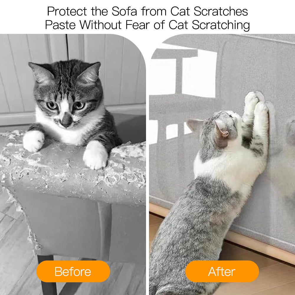 MACHY™-Protector de sofá y antiarañazos para gatos. 🐱💗