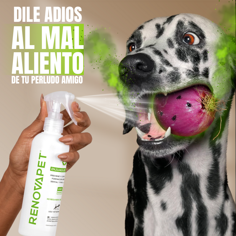 RENOVAPET™ - Elimina el sarro y el mal aliento de tu mascota.
