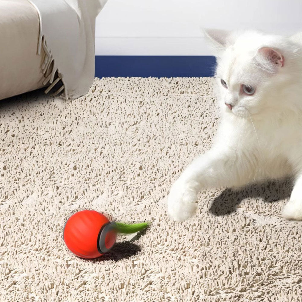 Miau™- Juguete Interactivo de Pelota Eléctrica Rodante